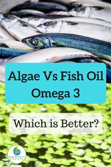 algae omega 3 vs fish|omega 3 algae oil benefits.